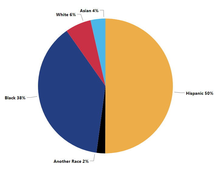 Victim Demographic Chart